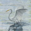 Egret Wings 30"x30"